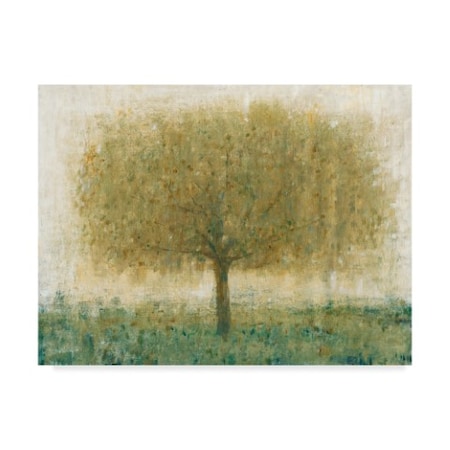 Tim Otoole 'Summer Day Tree I' Canvas Art,35x47